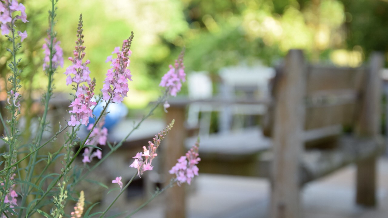 Photo of Others in Wenhaston