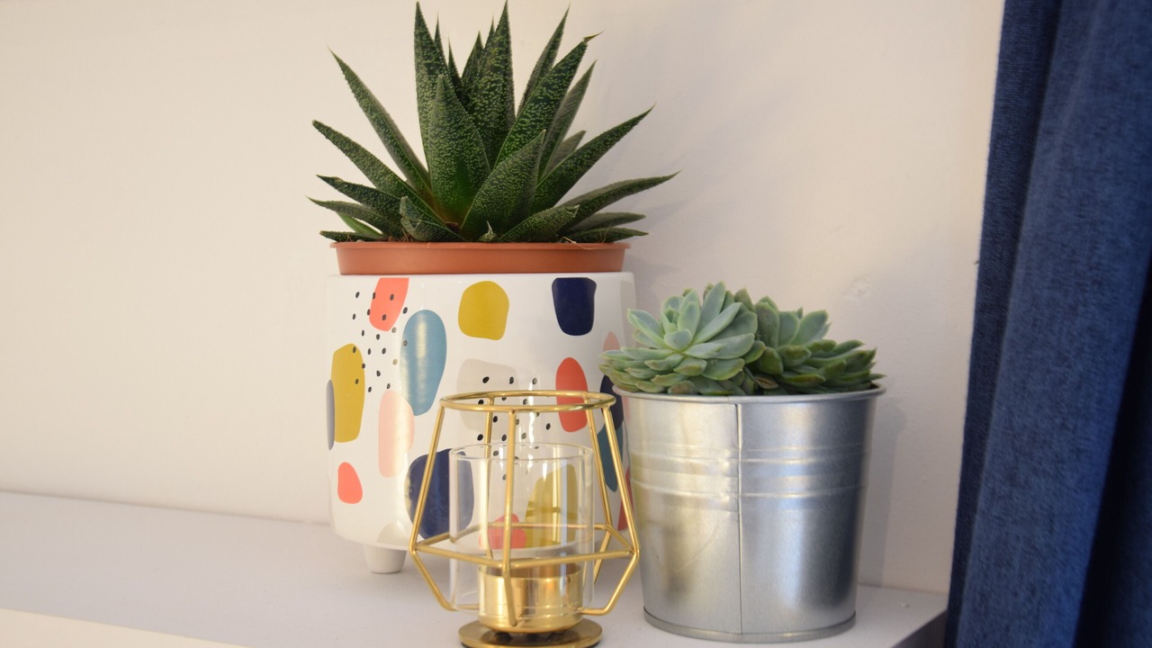 Photo of Others in Botesdale