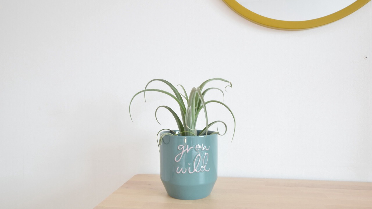 Photo of Others in Botesdale