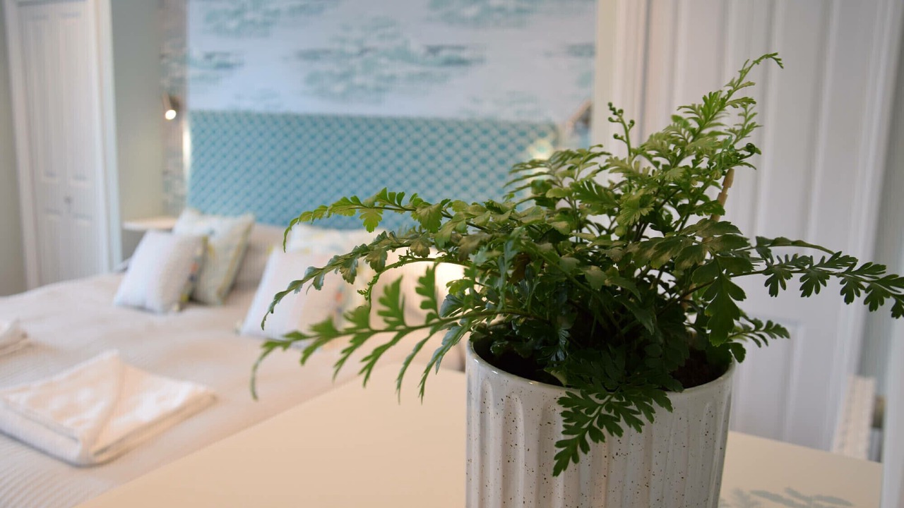 Photo of Others in Aldeburgh