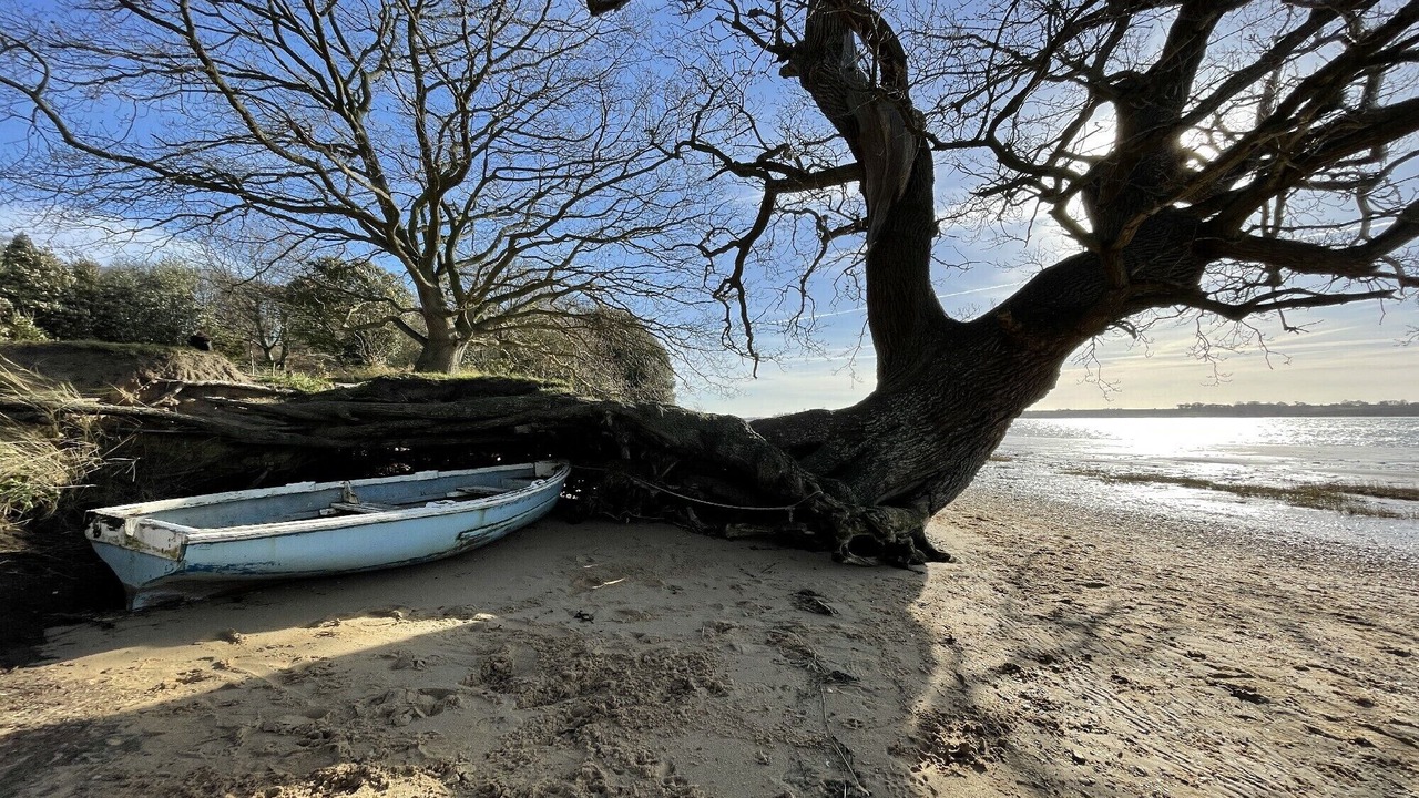 Photo of Others in Martlesham Heath