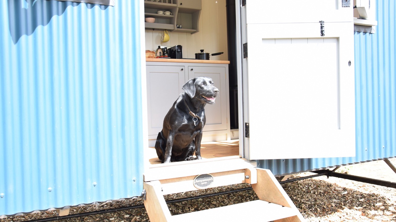 Photo of Outdoor in Woodbridge