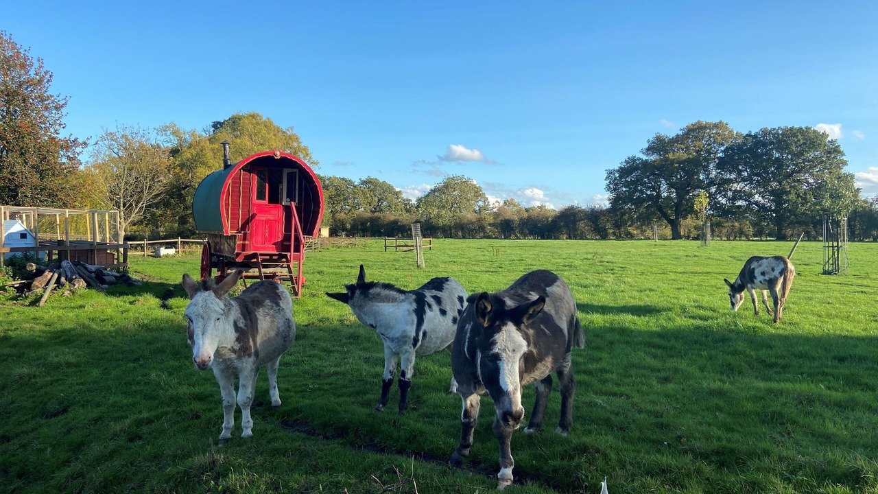 Photo of Outdoor in Sotherton