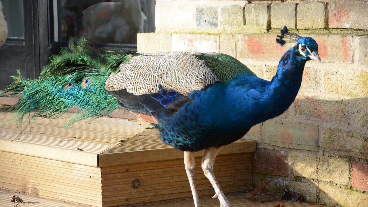 Photo of Others in Sotherton