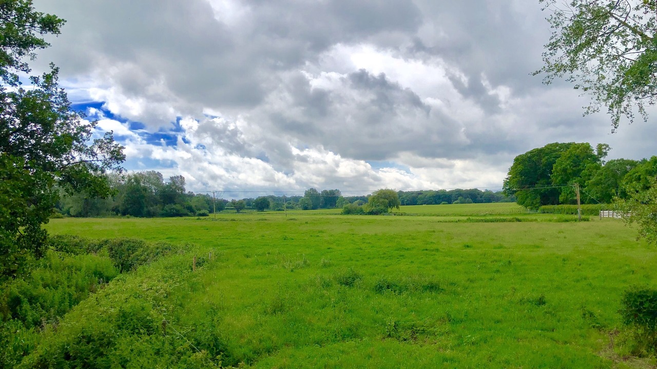 Photo of Others in Lowestoft