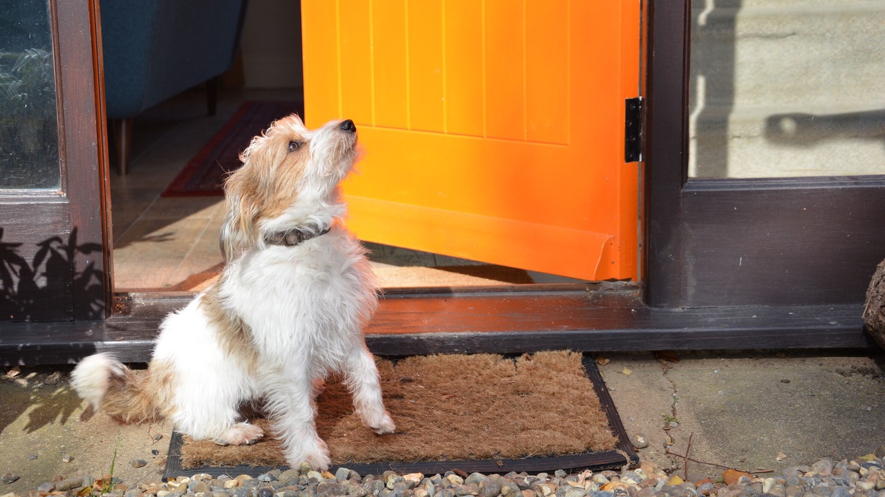 Photo of Others in Walpole