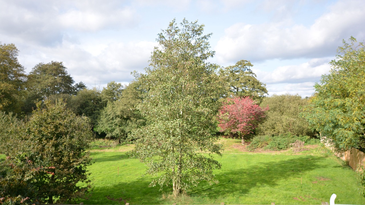 Photo of Outdoor in Walpole