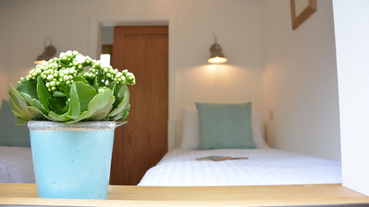 Photo of Others in Halesworth