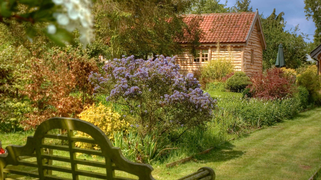 Photo of Outdoor in Eye