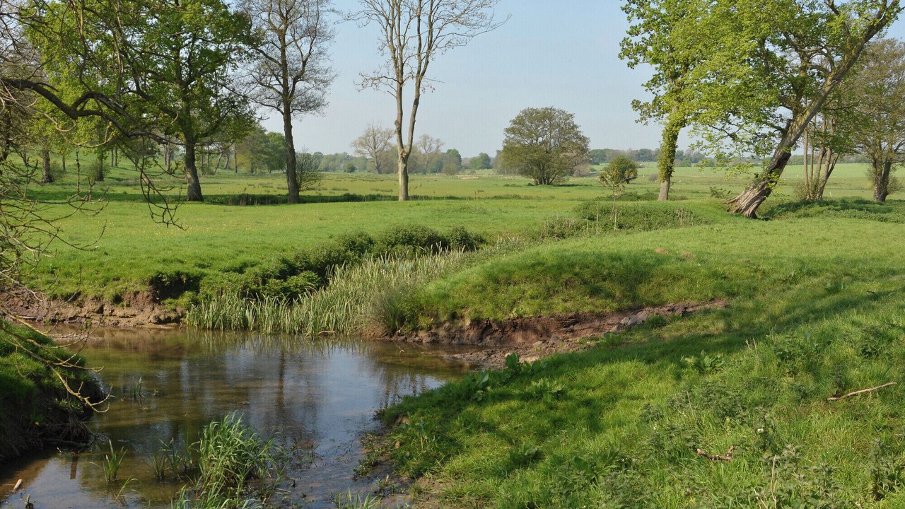 Photo of Others in Huntingfield