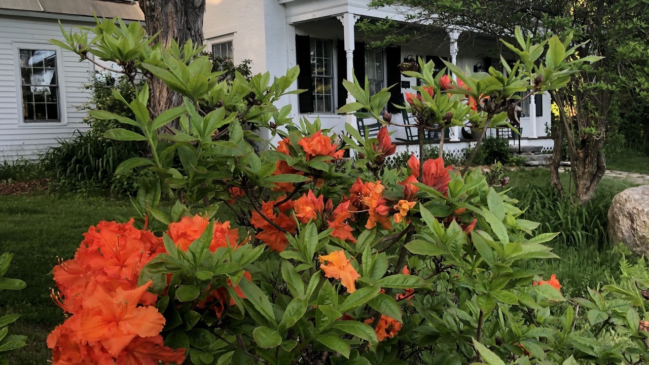 Photo of Outdoor in Chester