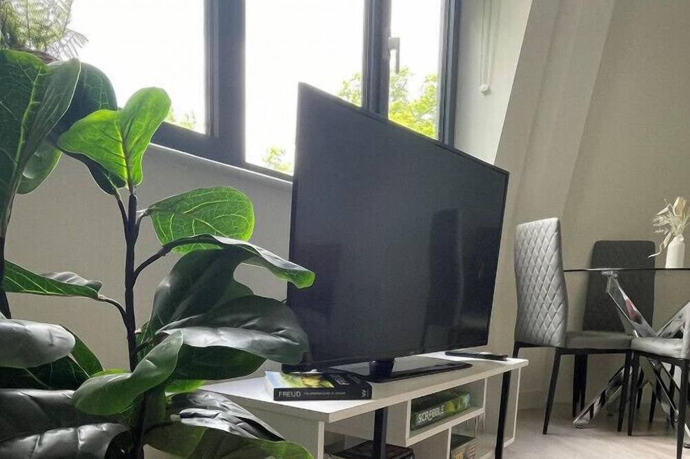 Photo of Others in Bedford