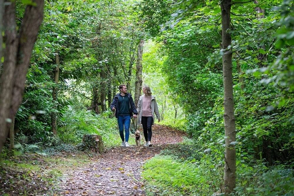 Photo of Others in Overton-on-dee