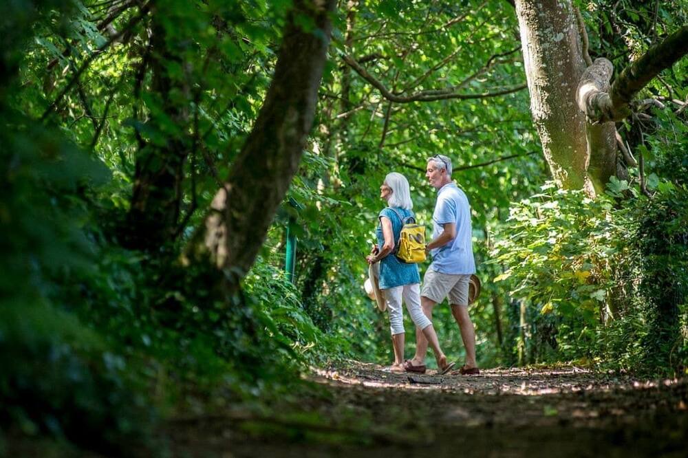 Photo of Others in Combe Martin