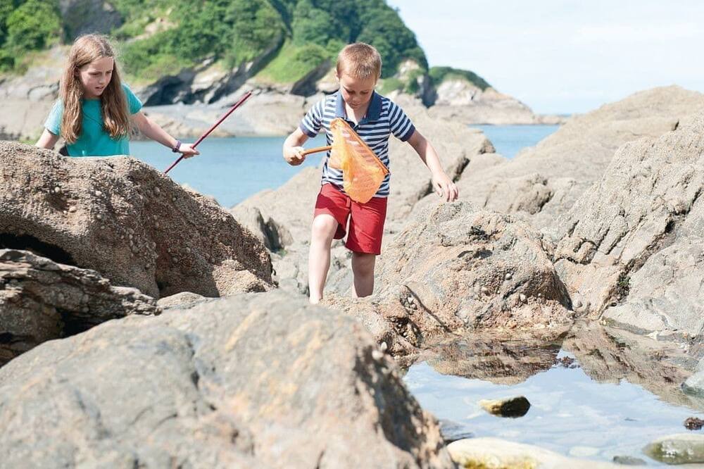 Photo of Others in Berrynarbor