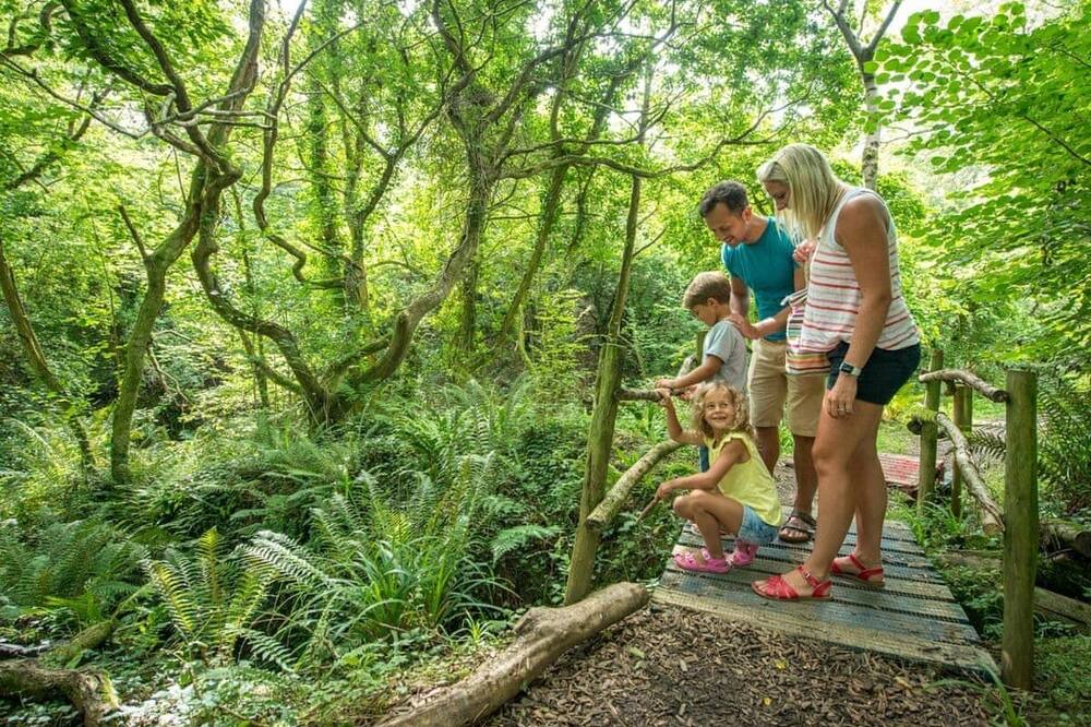 Photo of Others in Widemouth Bay