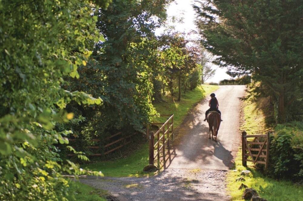 Photo of Others in Narberth