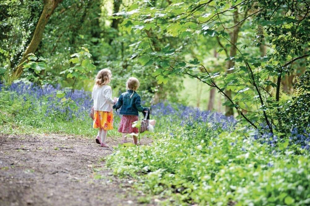 Photo of Others in Lelant