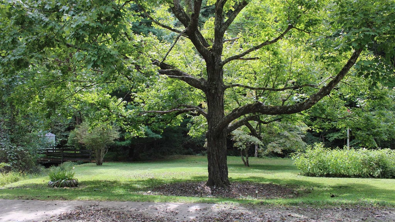 Photo of Outdoor in South Bloomingville