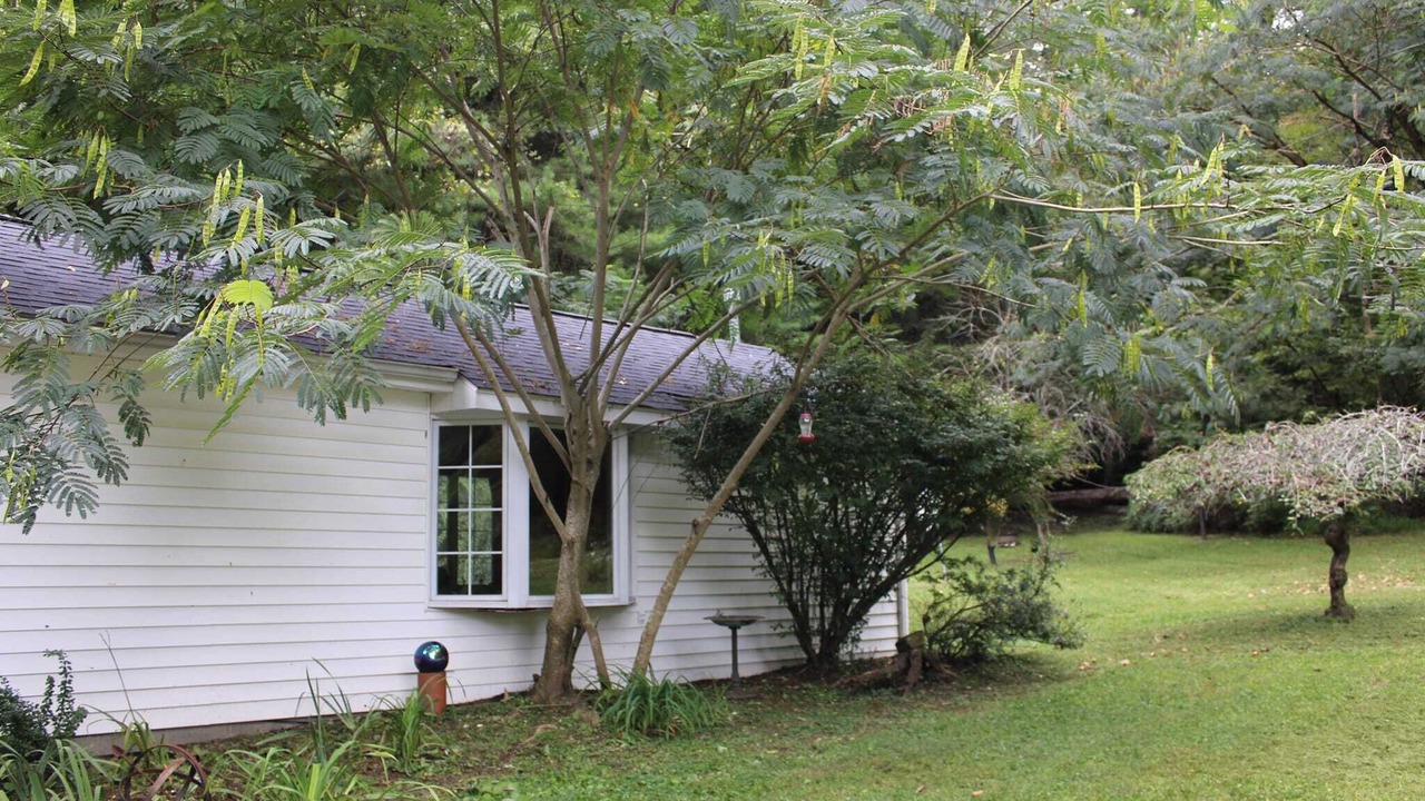 Photo of Outdoor in South Bloomingville