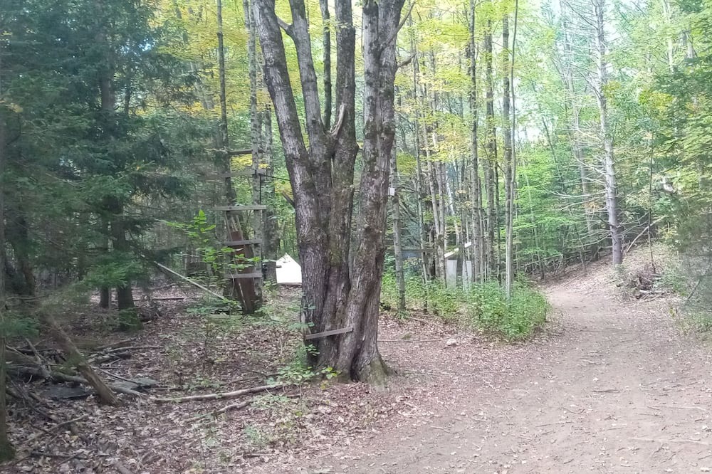 Photo of Others in Westmoreland