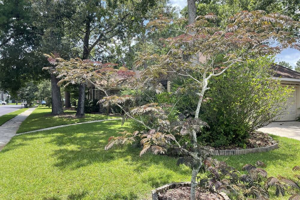 Photo of Outdoor in Ladson
