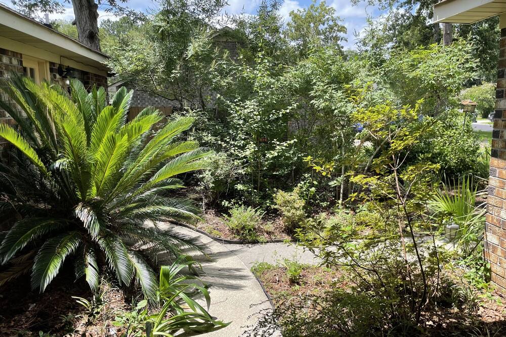 Photo of Outdoor in Ladson