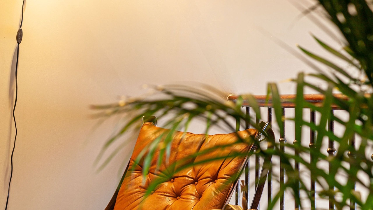 Photo of Others in Cluny