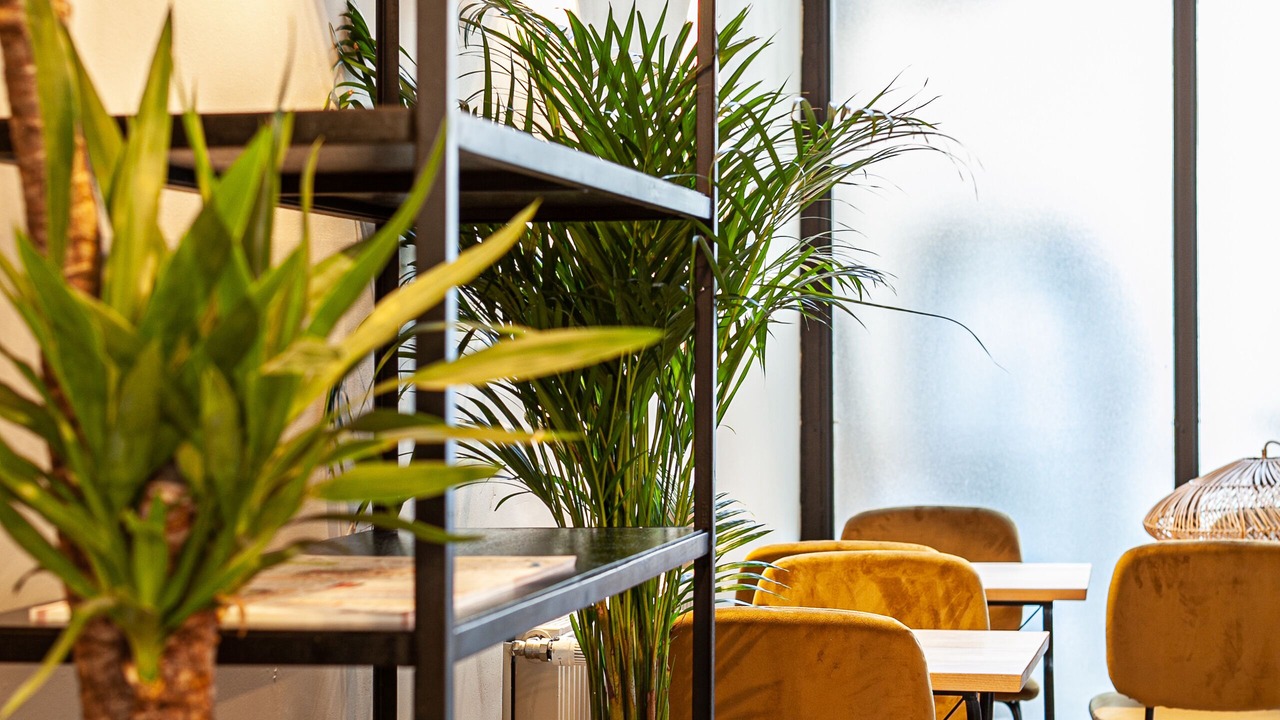 Photo of Others in Cluny