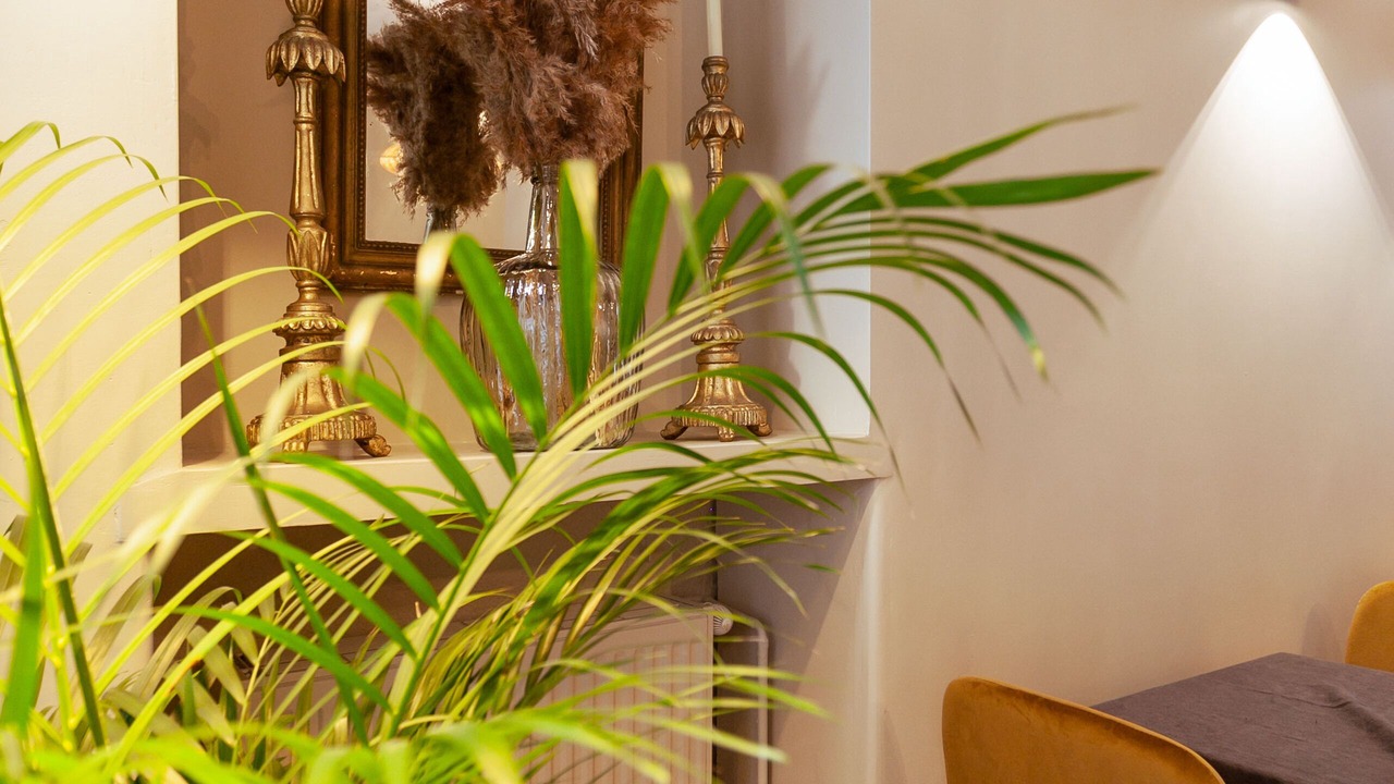 Photo of Others in Cluny