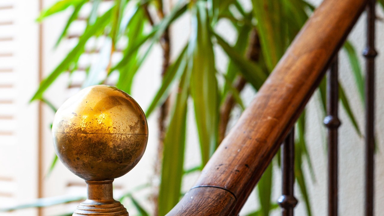 Photo of Others in Cluny