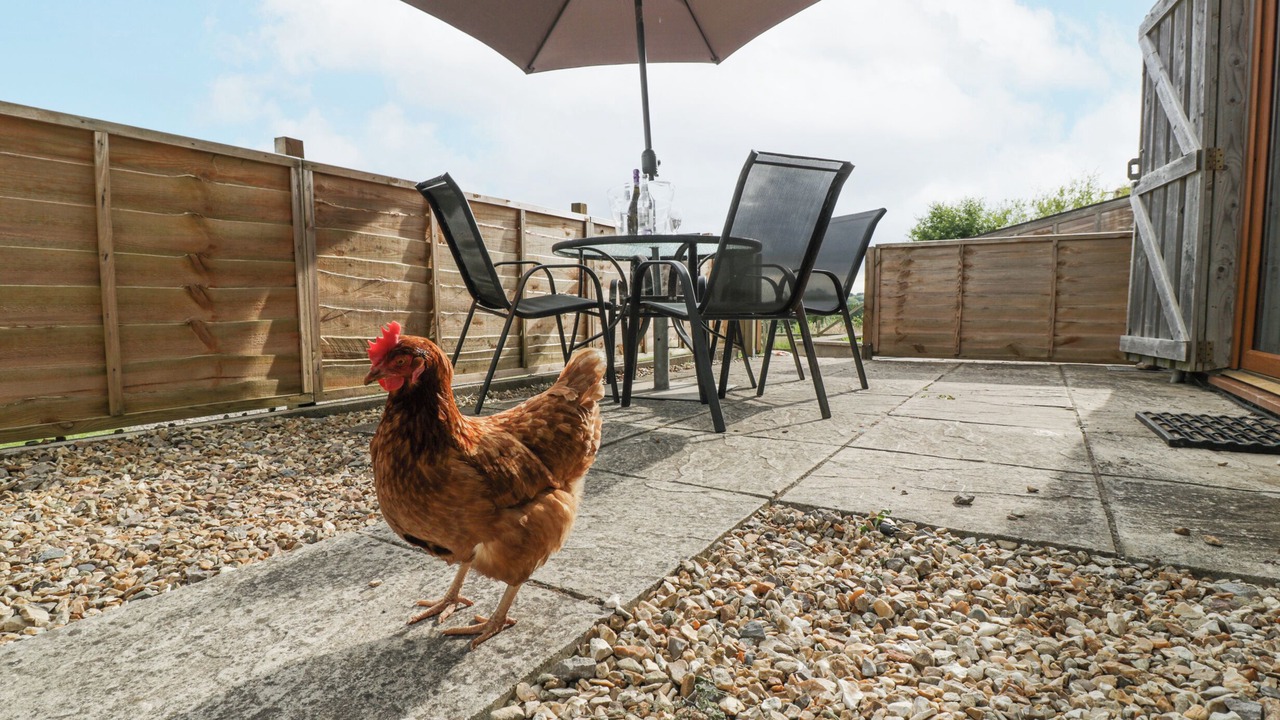 Photo of Outdoor in St. Brides Netherwent