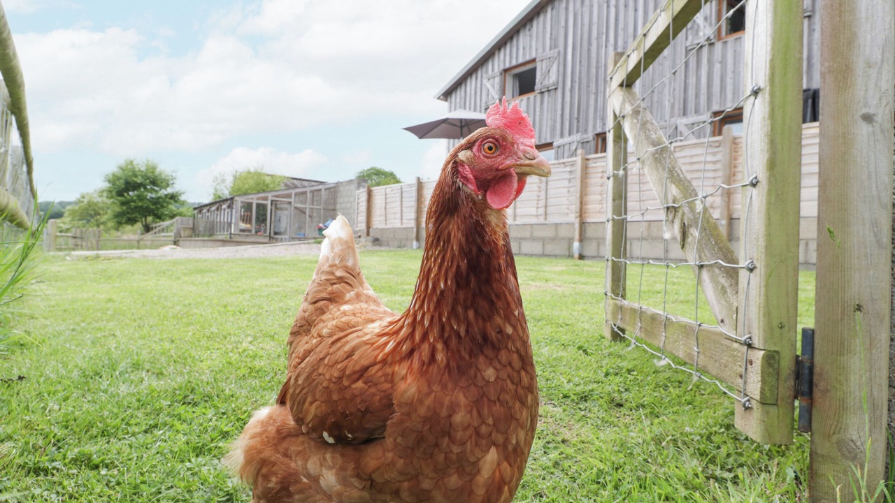 Photo of Outdoor in St. Brides Netherwent