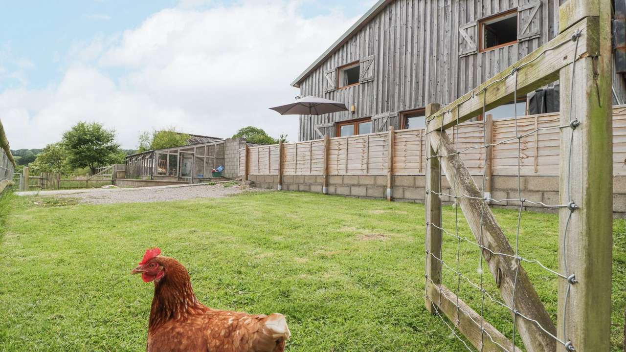 Photo of Outdoor in St. Brides Netherwent