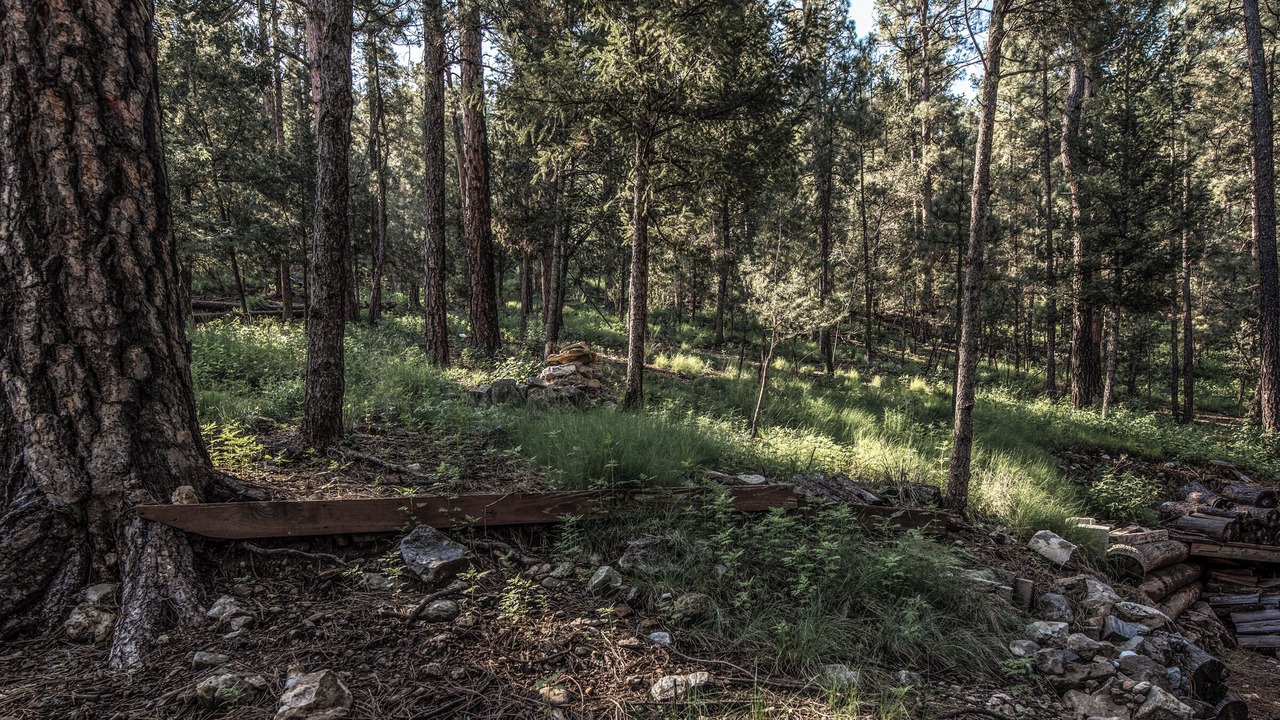 Photo of Others in Ruidoso