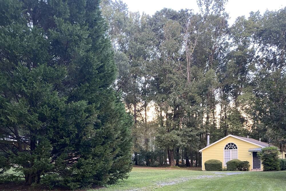 Photo of Outdoor in Phenix City