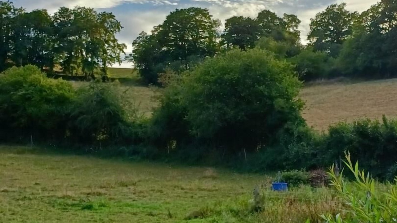 Photo of Outdoor in Curgy