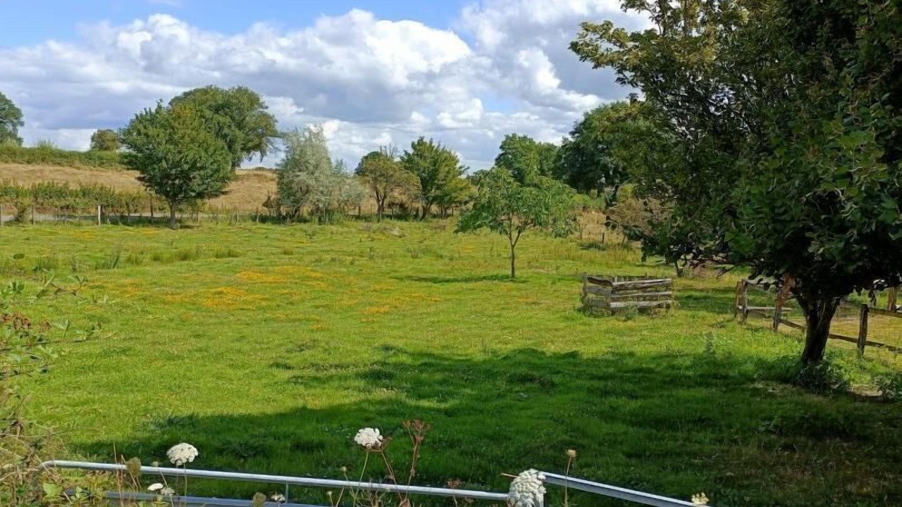 Photo of Others in Curgy