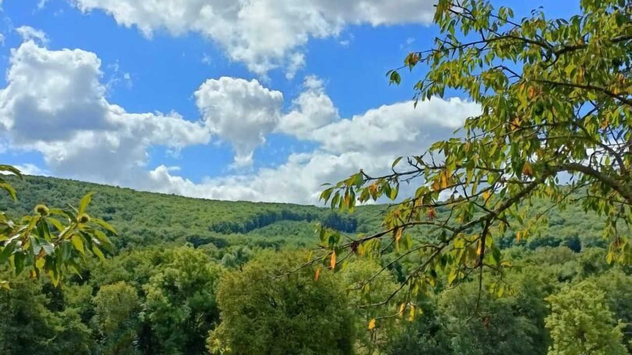 Photo of Outdoor in Curgy