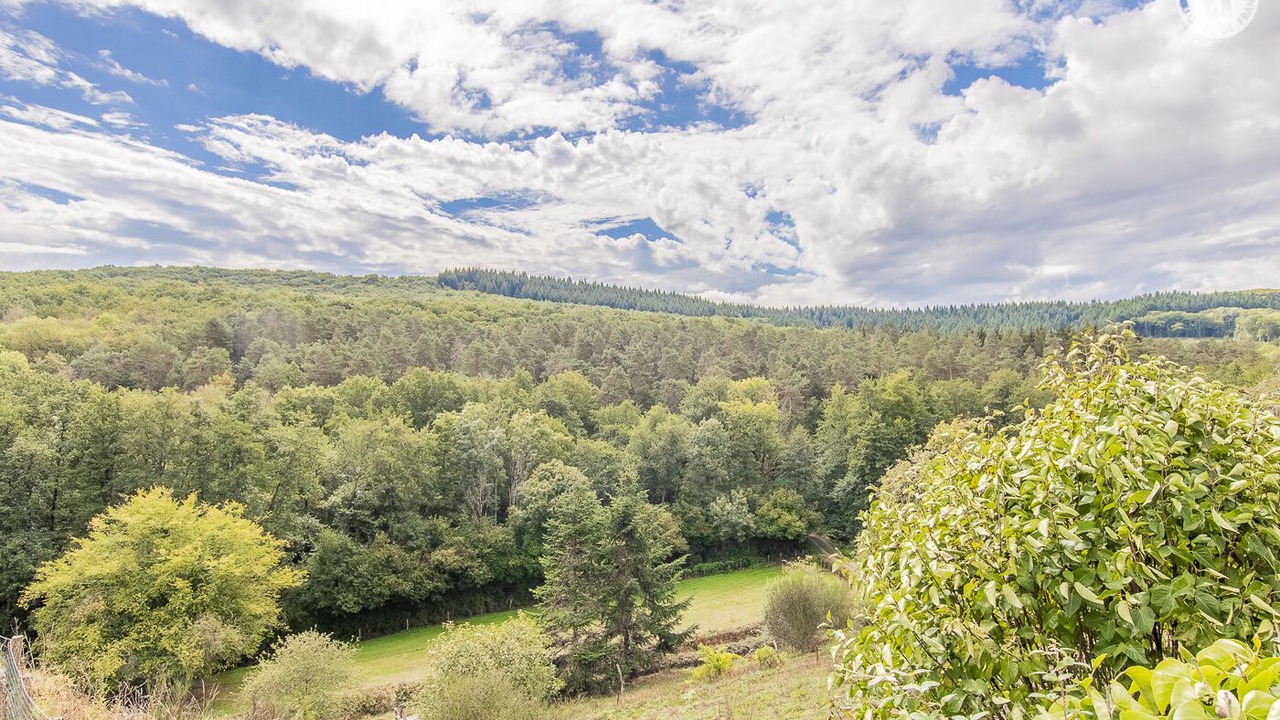 Photo of Outdoor in Curgy