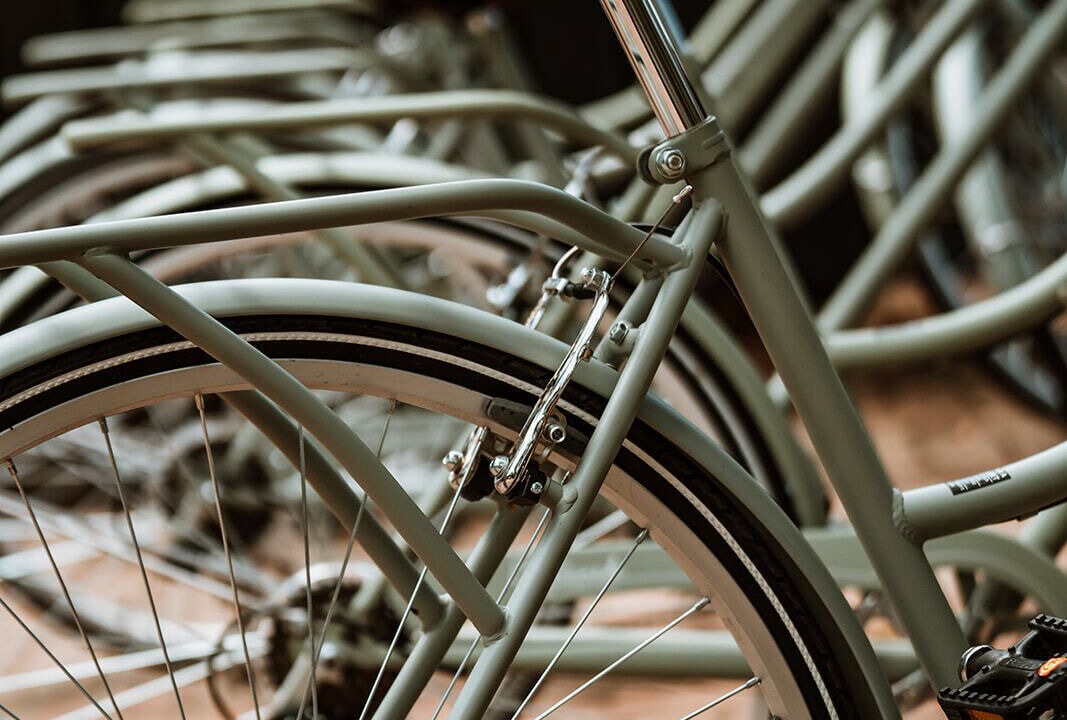 Photo of Outdoor in Jamberoo