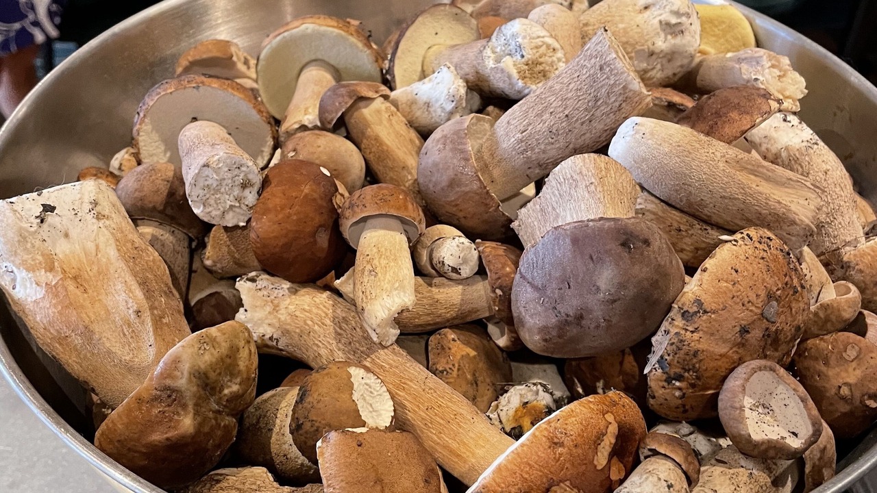 Photo of Others in Bagneres-de-Luchon