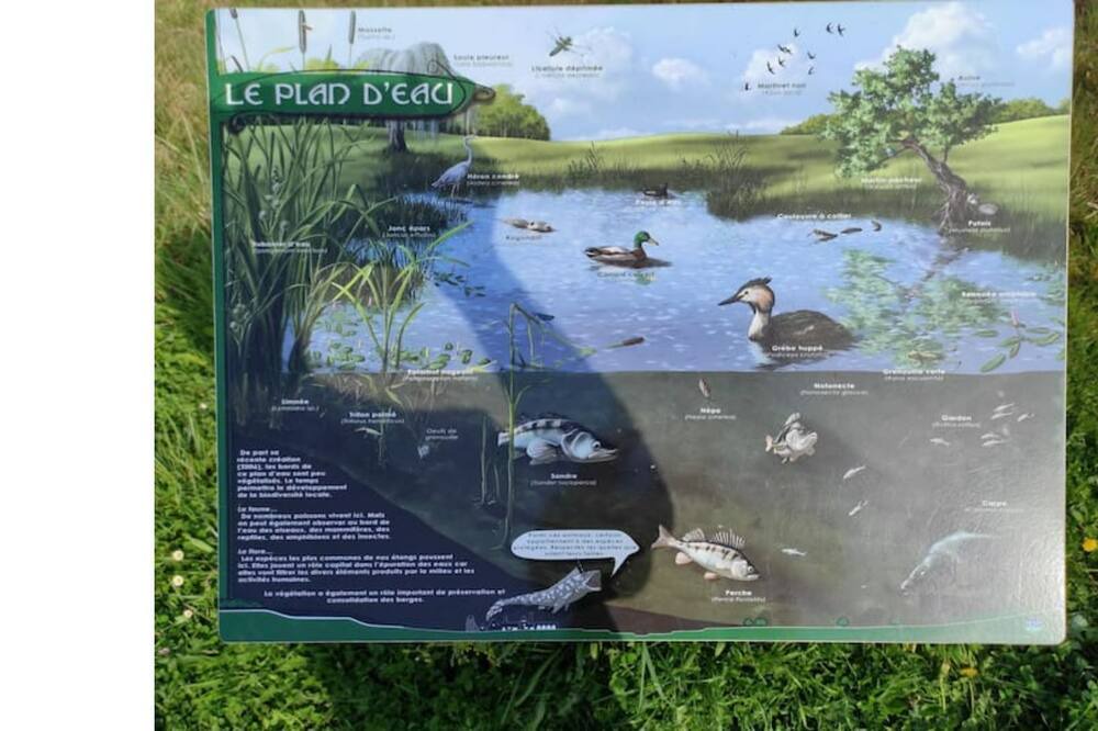 Photo of Others in Buxieres-les-Mines