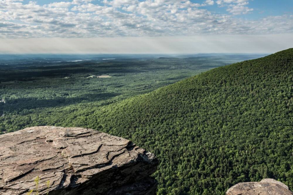 Photo of Others in Saugerties