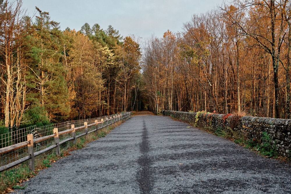 Photo of Outdoor in Saugerties