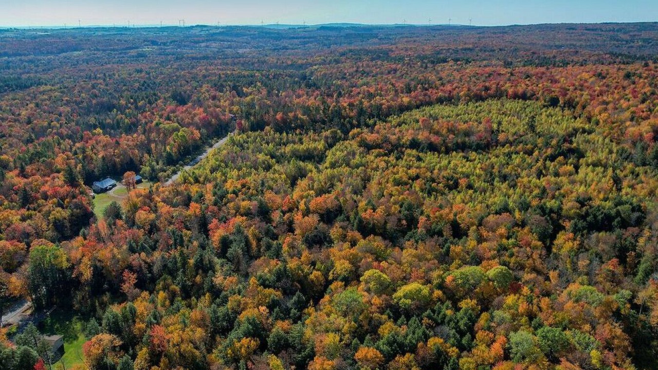 Photo of Outdoor in Salisbury Center
