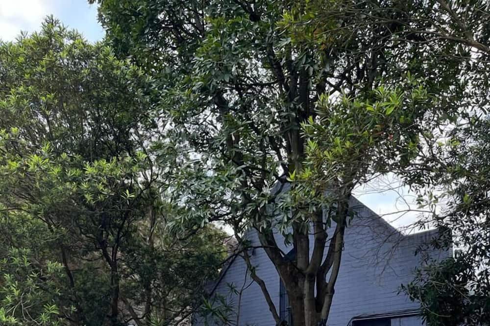 Photo of Outdoor in Waterloo