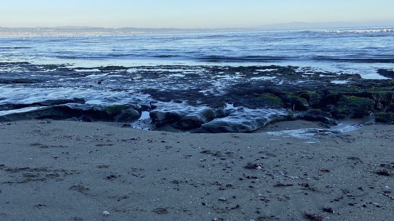 Photo of Others in Beach Hill - Beach Flats