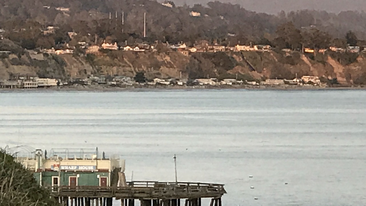 Photo of Others in Beach Hill - Beach Flats