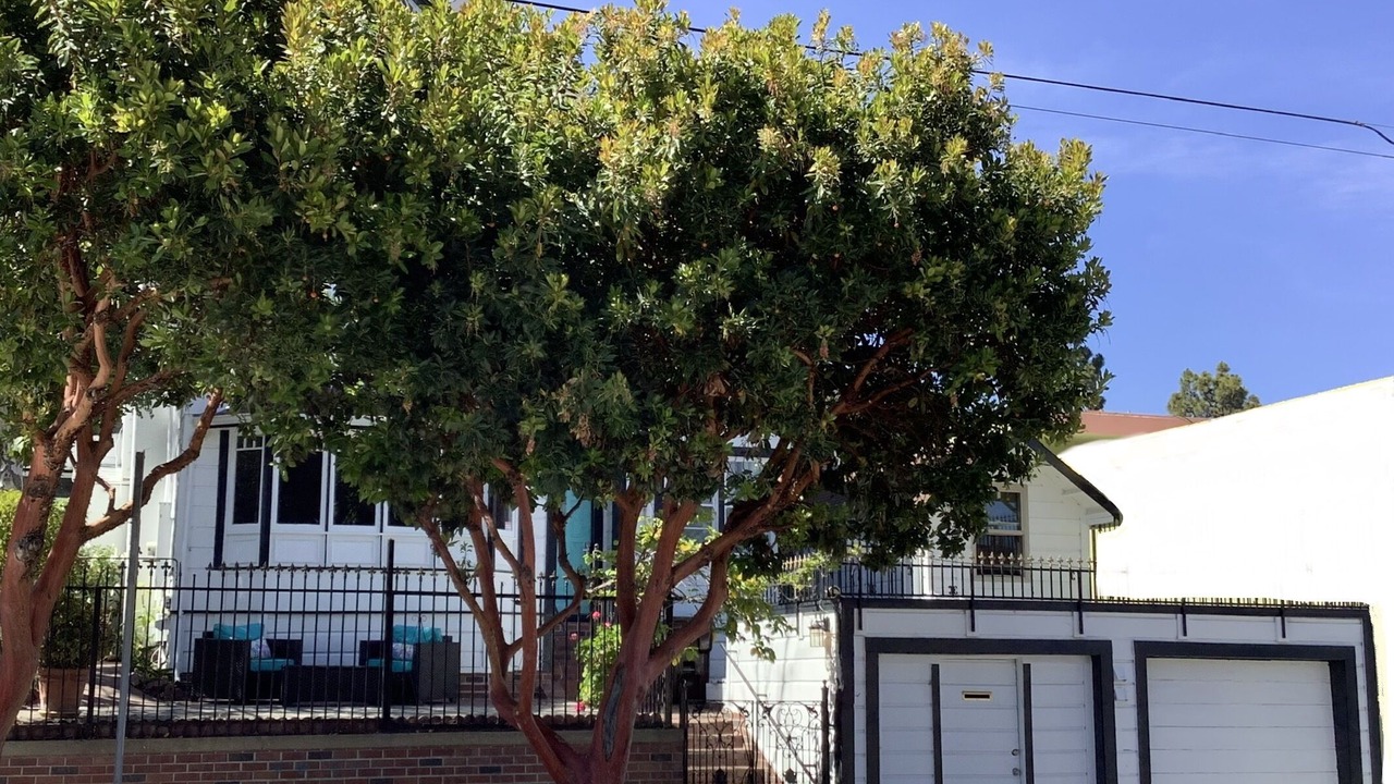 Photo of Outdoor in Beach Hill - Beach Flats